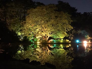 NAKED 紅葉の新宿御苑2023に投稿された画像（2023/11/30）