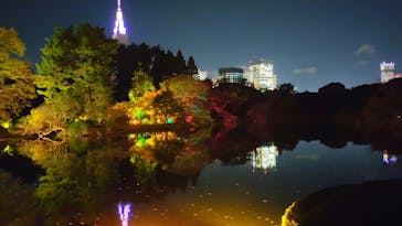 NAKED 紅葉の新宿御苑2023に投稿された画像（2023/11/30）