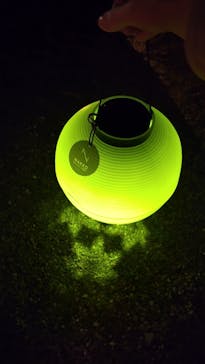 NAKED 紅葉の新宿御苑2023に投稿された画像（2023/11/30）