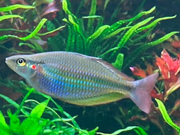 AOAO SAPPOROに投稿された画像（2023/11/30）