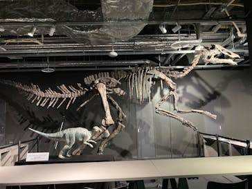 AOAO SAPPOROに投稿された画像（2023/11/30）