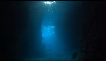 武藤潜水に投稿された画像（2023/11/30）