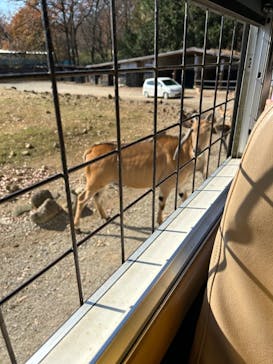 那須サファリパークに投稿された画像（2023/11/30）