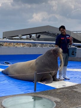 大分マリーンパレス水族館 「うみたまご」に投稿された画像（2023/11/30）
