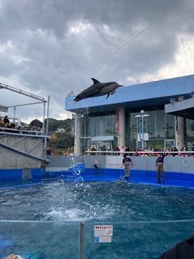 大分マリーンパレス水族館 「うみたまご」に投稿された画像（2023/11/30）