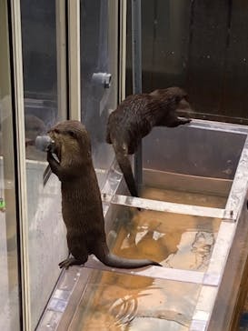 大分マリーンパレス水族館 「うみたまご」に投稿された画像（2023/11/30）