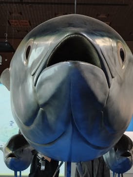 特別展「和食 ～日本の自然、人々の知恵～」に投稿された画像（2023/11/30）