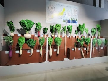 特別展「和食 ～日本の自然、人々の知恵～」に投稿された画像（2023/11/30）