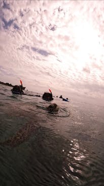 宮古島 ADVENTURE PiPi（ミヤコジマ アドベンチャー ピピ）に投稿された画像（2023/11/30）