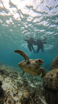 宮古島 ADVENTURE PiPi（ミヤコジマ アドベンチャー ピピ）に投稿された画像（2023/11/30）