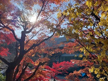 有馬温泉 太閤の湯に投稿された画像（2023/11/30）