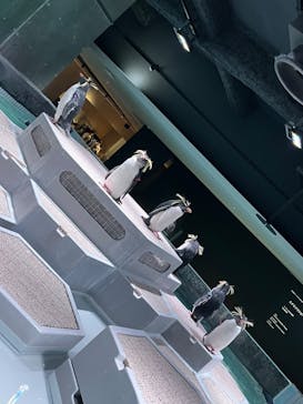 AOAO SAPPOROに投稿された画像（2023/11/30）