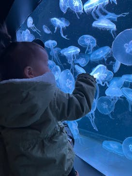 AOAO SAPPOROに投稿された画像（2023/11/30）