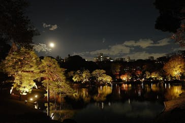 六義園に投稿された画像（2023/11/30）