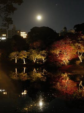 六義園に投稿された画像（2023/11/30）