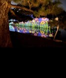 NAKED meets 二条城 2025 観月に投稿された画像（2023/11/30）