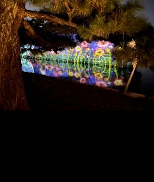 NAKED meets 二条城 2025 観月に投稿された画像（2023/11/30）