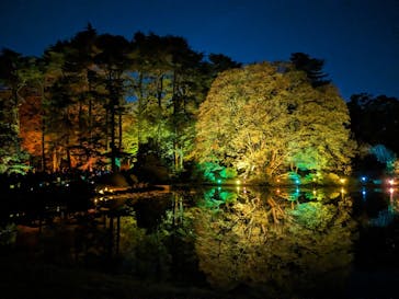 NAKED 紅葉の新宿御苑2023に投稿された画像（2023/11/30）