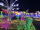 伊豆ぐらんぱる公園に投稿された画像（2023/11/30）