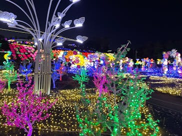 伊豆ぐらんぱる公園に投稿された画像（2023/11/30）