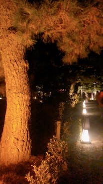 NAKED meets 二条城 2025 観月に投稿された画像（2023/11/30）