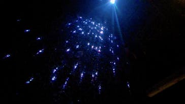 NAKED meets 二条城 2025 観月に投稿された画像（2023/11/30）