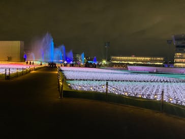 東京メガイルミに投稿された画像（2023/11/30）