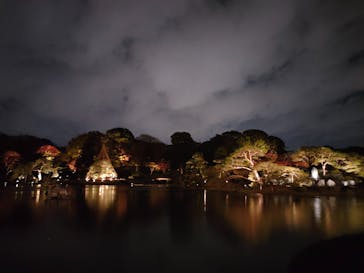 六義園に投稿された画像（2023/11/30）