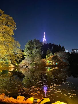 NAKED 紅葉の新宿御苑2023に投稿された画像（2023/11/30）