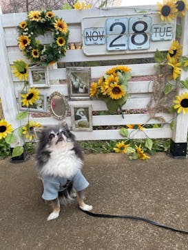 成田ゆめ牧場に投稿された画像（2023/11/30）