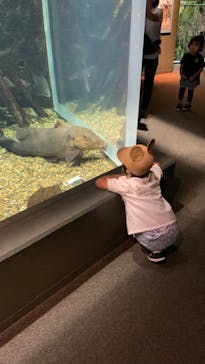 世界淡水魚園水族館　アクア・トトぎふに投稿された画像（2023/11/30）