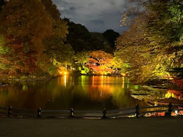 NAKED 紅葉の新宿御苑2023に投稿された画像（2023/11/30）