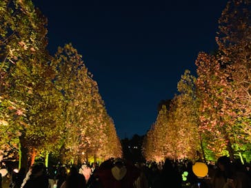 NAKED 紅葉の新宿御苑2023に投稿された画像（2023/11/30）