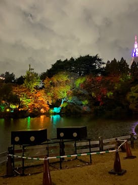 NAKED 紅葉の新宿御苑2023に投稿された画像（2023/11/30）