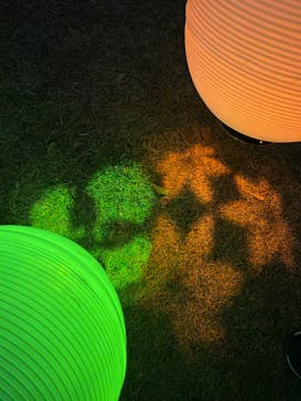 NAKED 紅葉の新宿御苑2023に投稿された画像（2023/11/30）