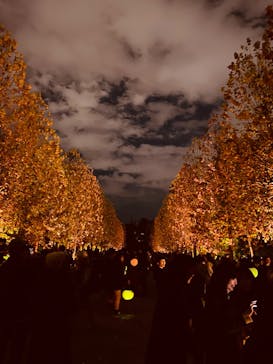 NAKED 紅葉の新宿御苑2023に投稿された画像（2023/11/30）