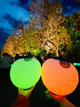 NAKED 紅葉の新宿御苑2023に投稿された画像（2023/11/30）