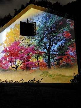 六義園に投稿された画像（2023/11/30）