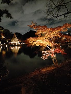 六義園に投稿された画像（2023/11/30）