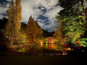 NAKED 紅葉の新宿御苑2023に投稿された画像（2023/11/30）