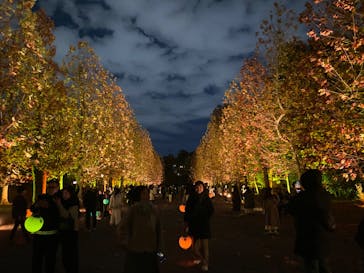 NAKED 紅葉の新宿御苑2023に投稿された画像（2023/11/30）