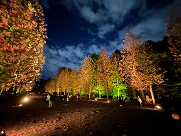 NAKED 紅葉の新宿御苑2023に投稿された画像（2023/11/30）