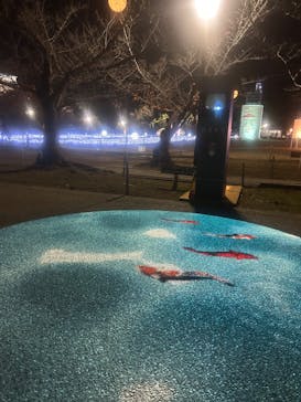 姫路城（イベント）に投稿された画像（2023/12/1）