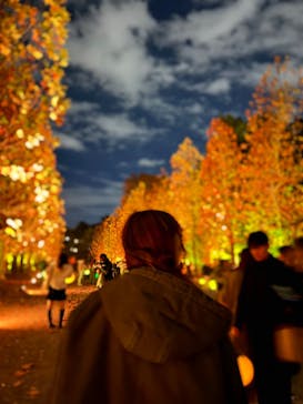 NAKED 紅葉の新宿御苑2023に投稿された画像（2023/12/1）