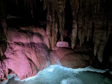 おきなわワールドに投稿された画像（2023/12/1）