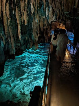 おきなわワールドに投稿された画像（2023/12/1）