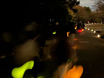 NAKED 紅葉の新宿御苑2023に投稿された画像（2023/12/1）