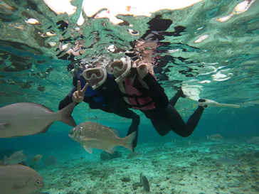 武藤潜水に投稿された画像（2023/12/1）