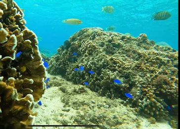 武藤潜水に投稿された画像（2023/12/1）