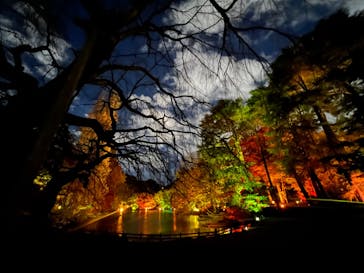 NAKED 紅葉の新宿御苑2023に投稿された画像（2023/12/1）